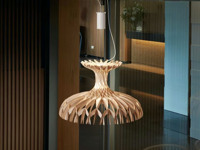 DOME 60 02 - LED wooden pendant lamp _ BOVER