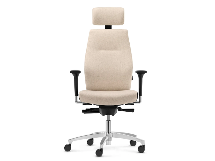 SHAPE - Swivel chair, high backrest with Ergo neckrest, with armrest _ Dauphin