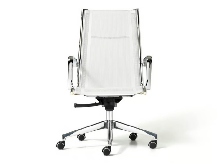 AUCKLAND - Mesh executive chair with 5-spoke base _ Diemme