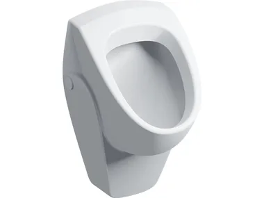 SELNOVA - Suspended Vitreous China urinal _ Geberit