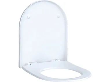 h_ACANTO-Toilet-seat-Geberit-503851-rel1ef6c24d.jpg