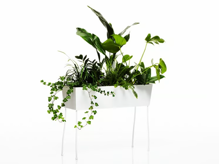 GREEN PEDESTALS - Plant holder _ Offecct