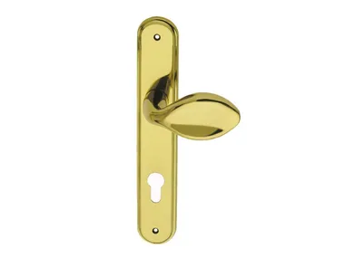 ZEUS FASHION - Brass door handle on back plate with lock _ Pasini