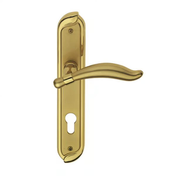 kefrem-classique-door-handle-on-back-plate-pasini-metals-productions-327901-rel751a108d.jpg