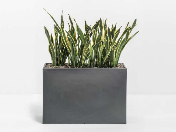 KADO - Polyethylene garden bench / planter _ Pedrali