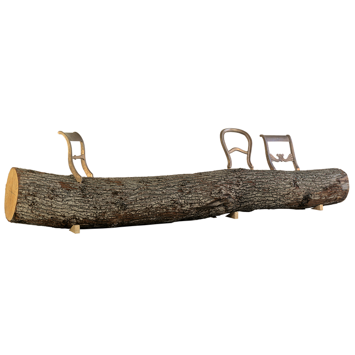 Tree-trunk bench