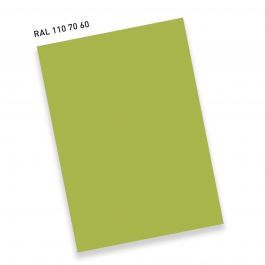 RAL110 70 60LimettengrünLime green