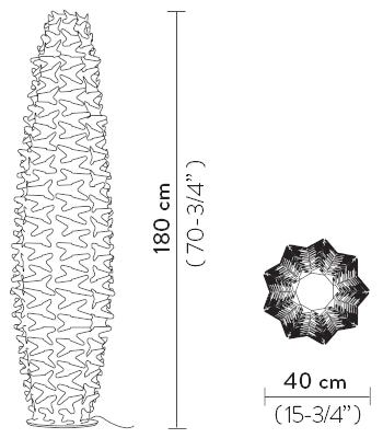 cactus-floor-xxl_outlines.png