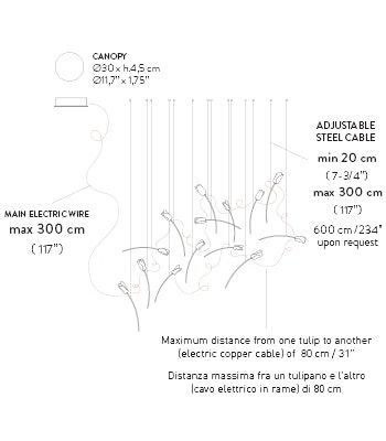 tulip-14-freestanding_outline-1.png