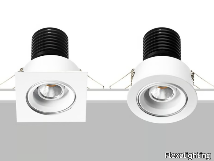 RAÙL 10 - Adjustable Downlight _ Flexalighting