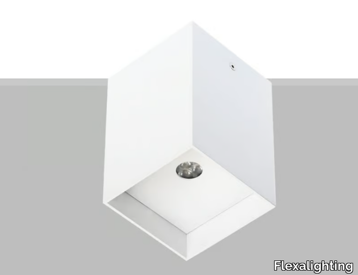 ARIK-6-Flexalighting-137434-rel3947e55c.jpg