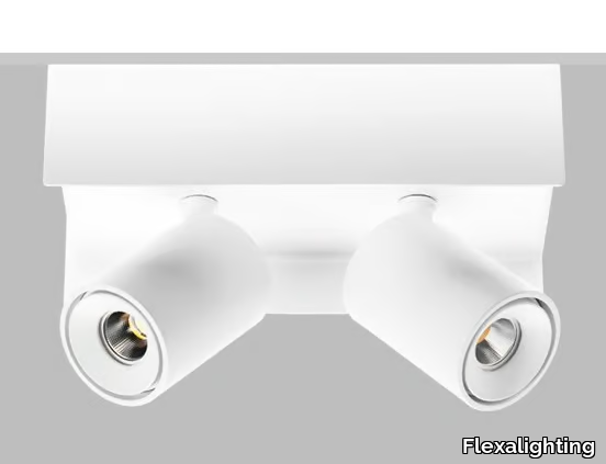 SASHA-120U-Flexalighting-366743-rel1e897626.jpg