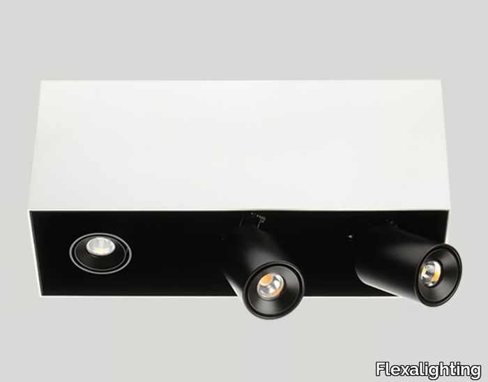 SWAN-X130-Flexalighting-366752-relbeaf1cc1.jpg