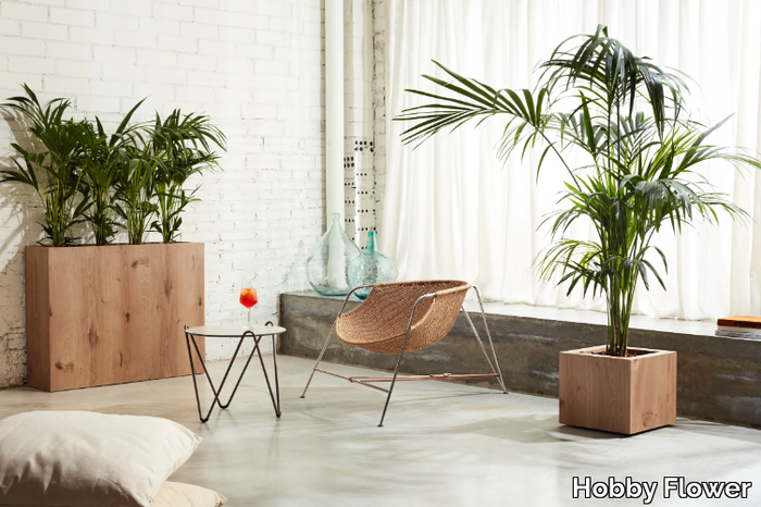 high-planter-hobby-flower-581290-rel81762f94.jpg