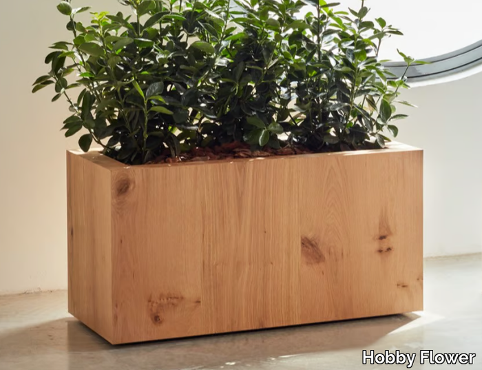 planter-hobby-flower-581291-rel1b6edf3e.jpg