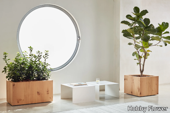 vase-hobby-flower-581292-rel4149466a.jpg