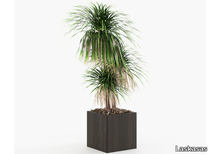 STELA - Planter _ Laskasas