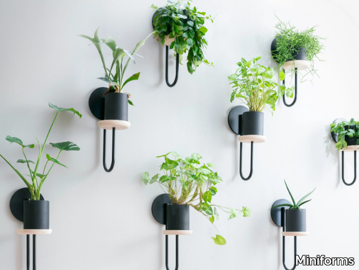 cigales-wall-miniforms-354205-rel8428d741.jpg