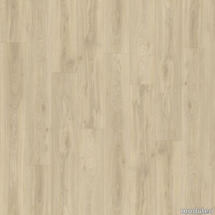 Blackjack Oak 22215