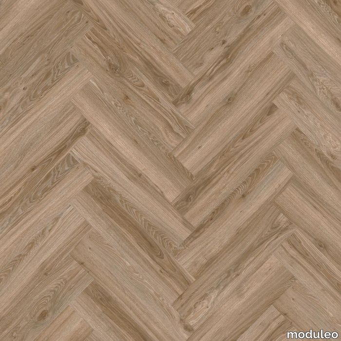 Blackjack Oak 22229