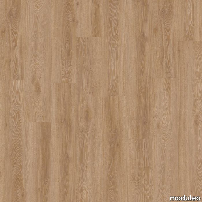 Blackjack Oak 22450