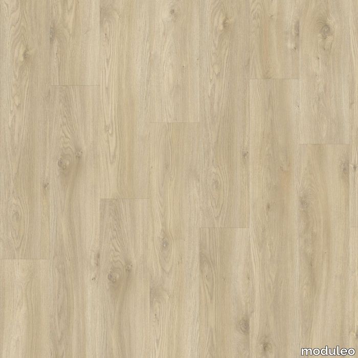 Sierra Oak 58268