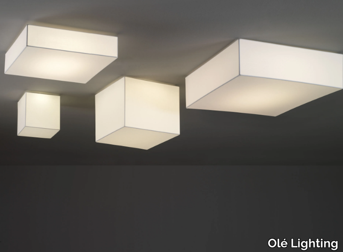 ceiling-lamp-fm-iluminacion-512562-relec36903.jpg