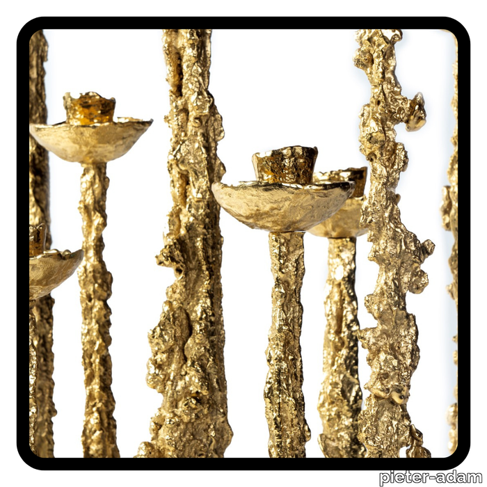 Fotos-website-15.png