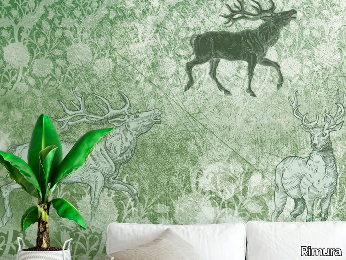 foresta-rimura-589744-rel16670ebf.jpg