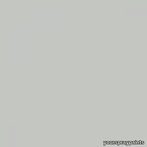 RAL 7035 Light Grey 1K/2K Aerosol Spray Paint 1K/2K 400ml