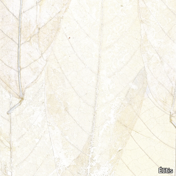 BLANCHE-NEIGE-Élitis-435332-rel79e708e4.jpg